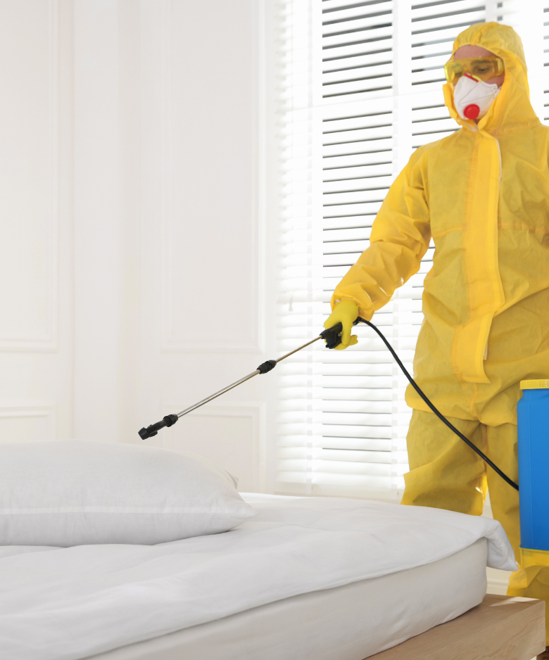 Professional Pest Control Team in Leawood Gardens